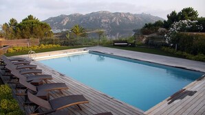 Una piscina rectangular con muelle de madera y sillas de descanso.