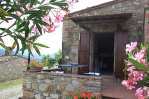Teras/patio