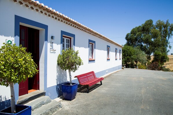 A white building with blue trim and a red door, a red bench, and a potted tree in front.