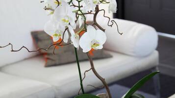 A potted orchid on a table in a modern living room with a white couch and a glass coffee table.