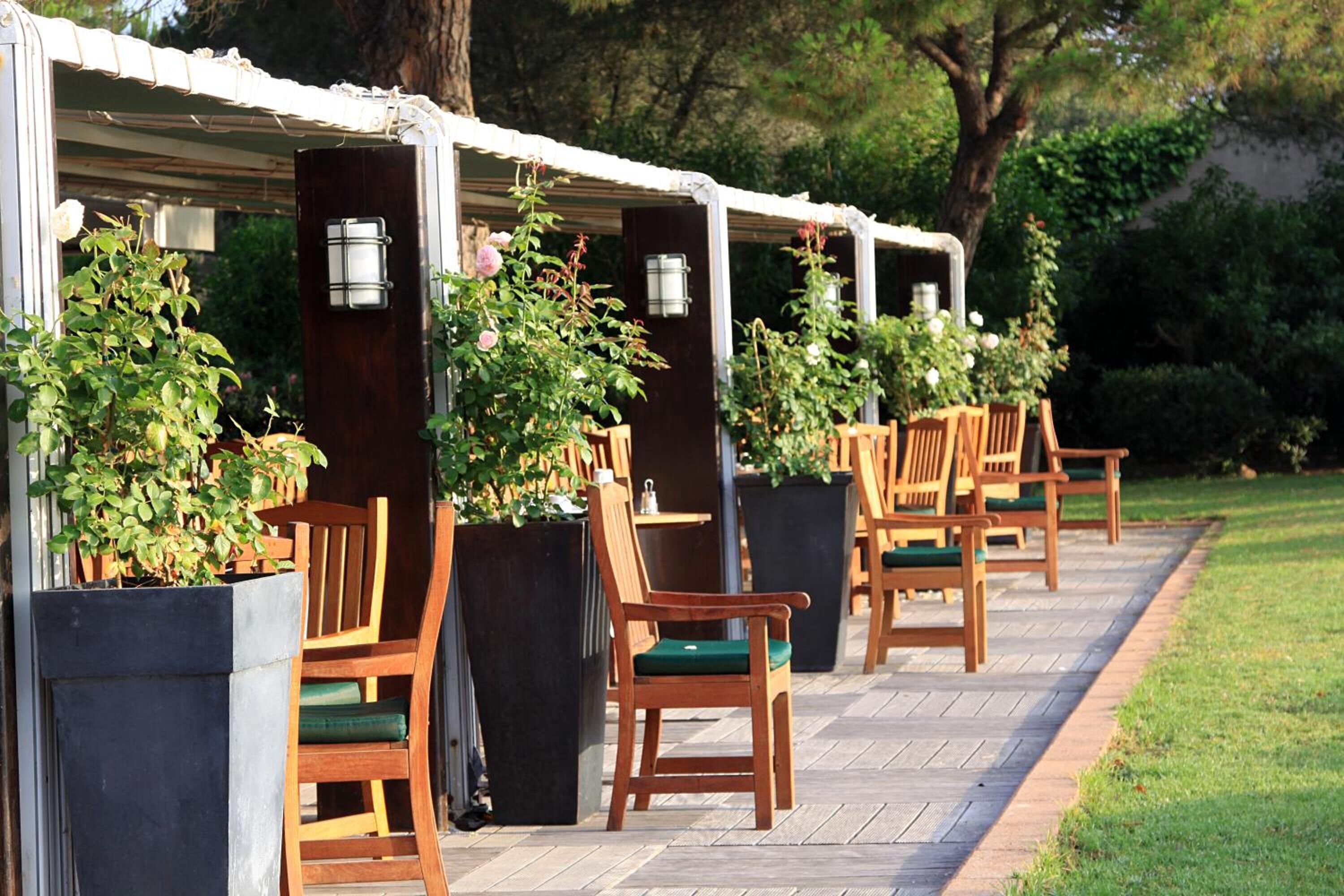 A covered outdoor seating area with wooden chairs and planters of greenery.