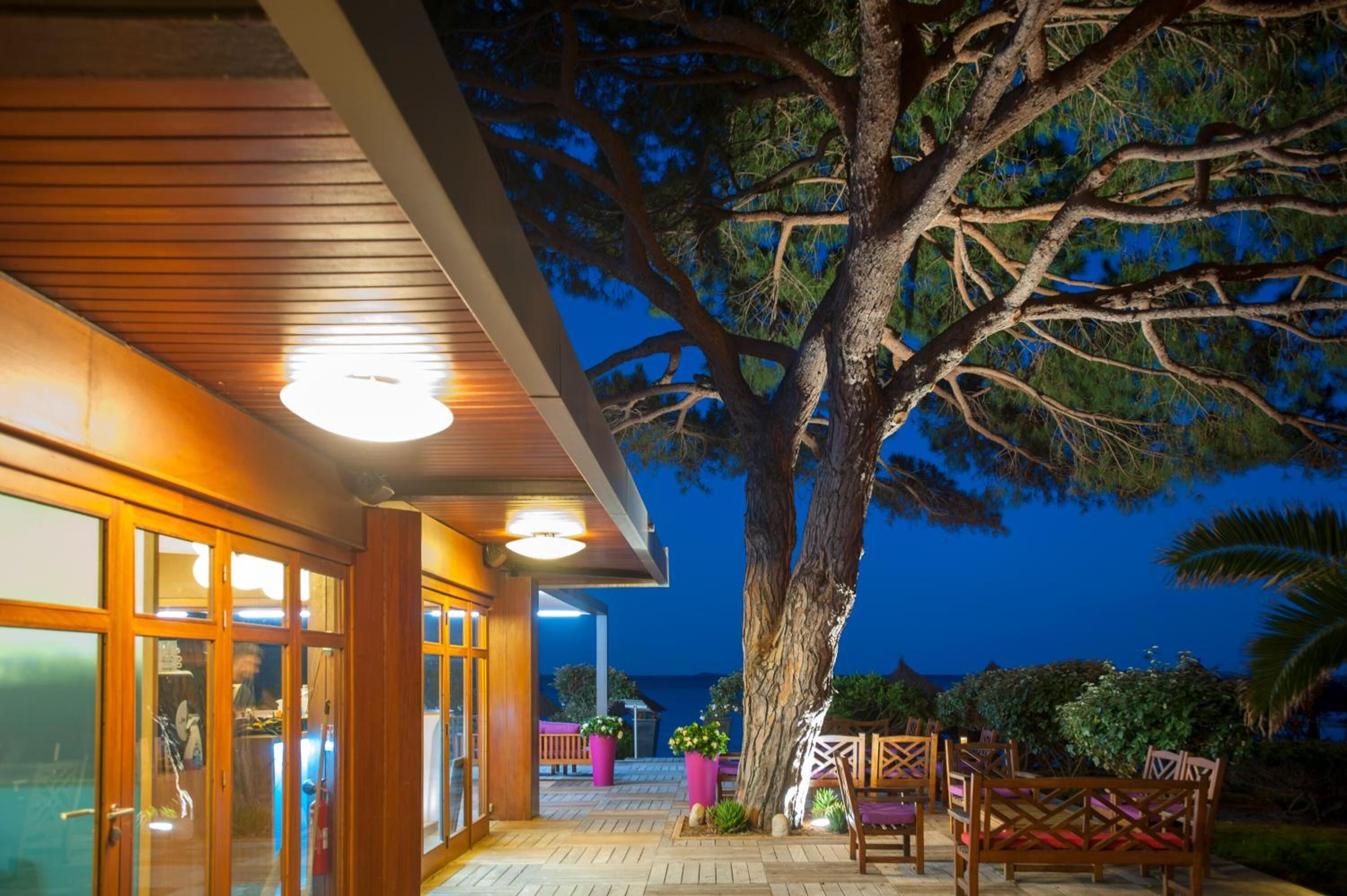 Lunch and dinner served, Regional cuisine