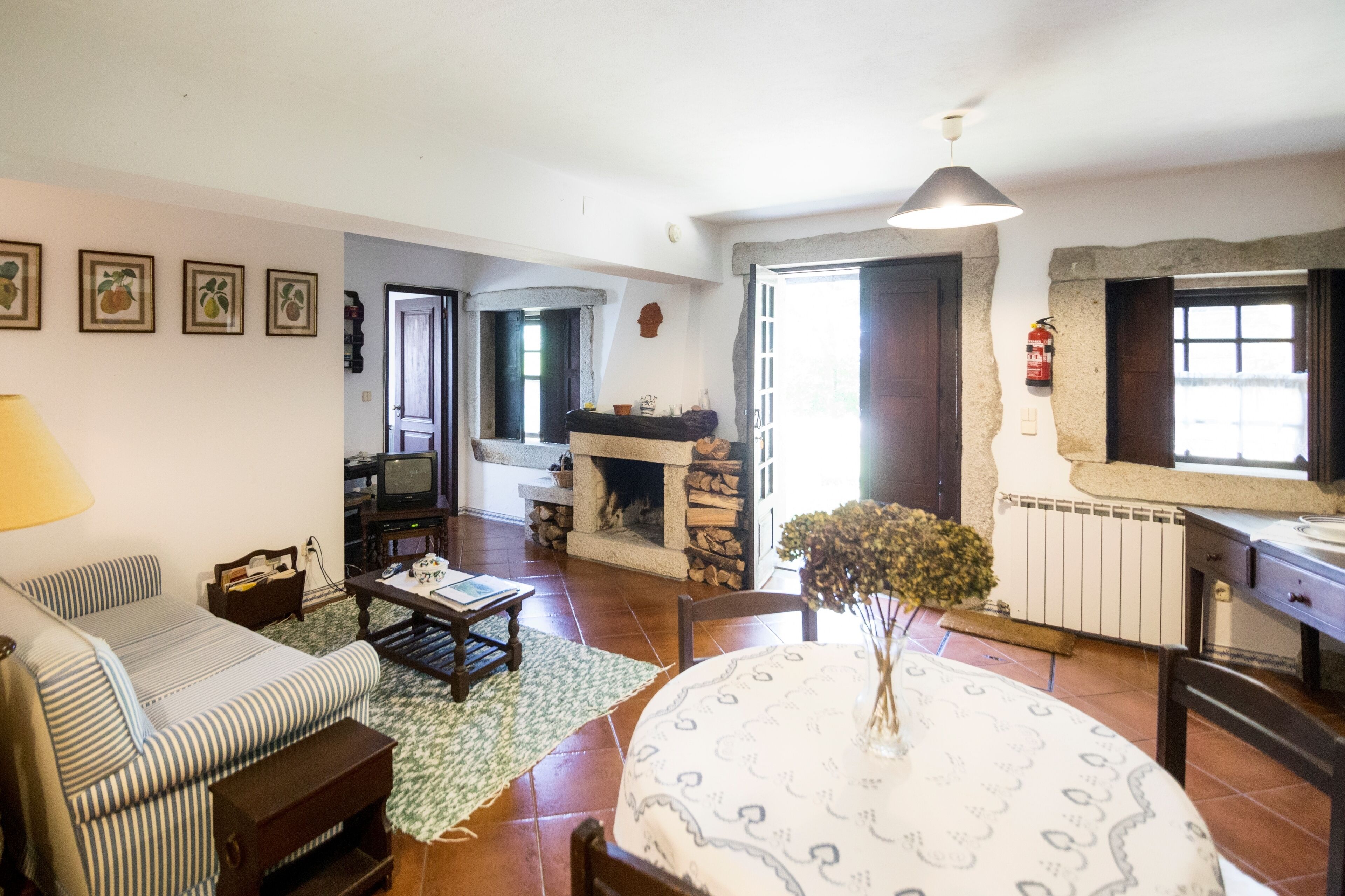 Flat-screen TV, fireplace