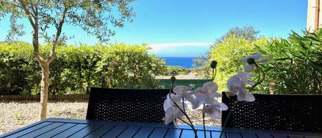 A table with a potted orchid and a bench with a view of the sea.