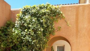 An arched corridor with a wall covered in ivy, leading to a building with a window.