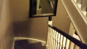 A narrow staircase with a potted plant on the landing.