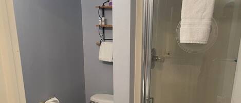 A bathroom with a toilet, a glass shower enclosure, and a towel rack.
