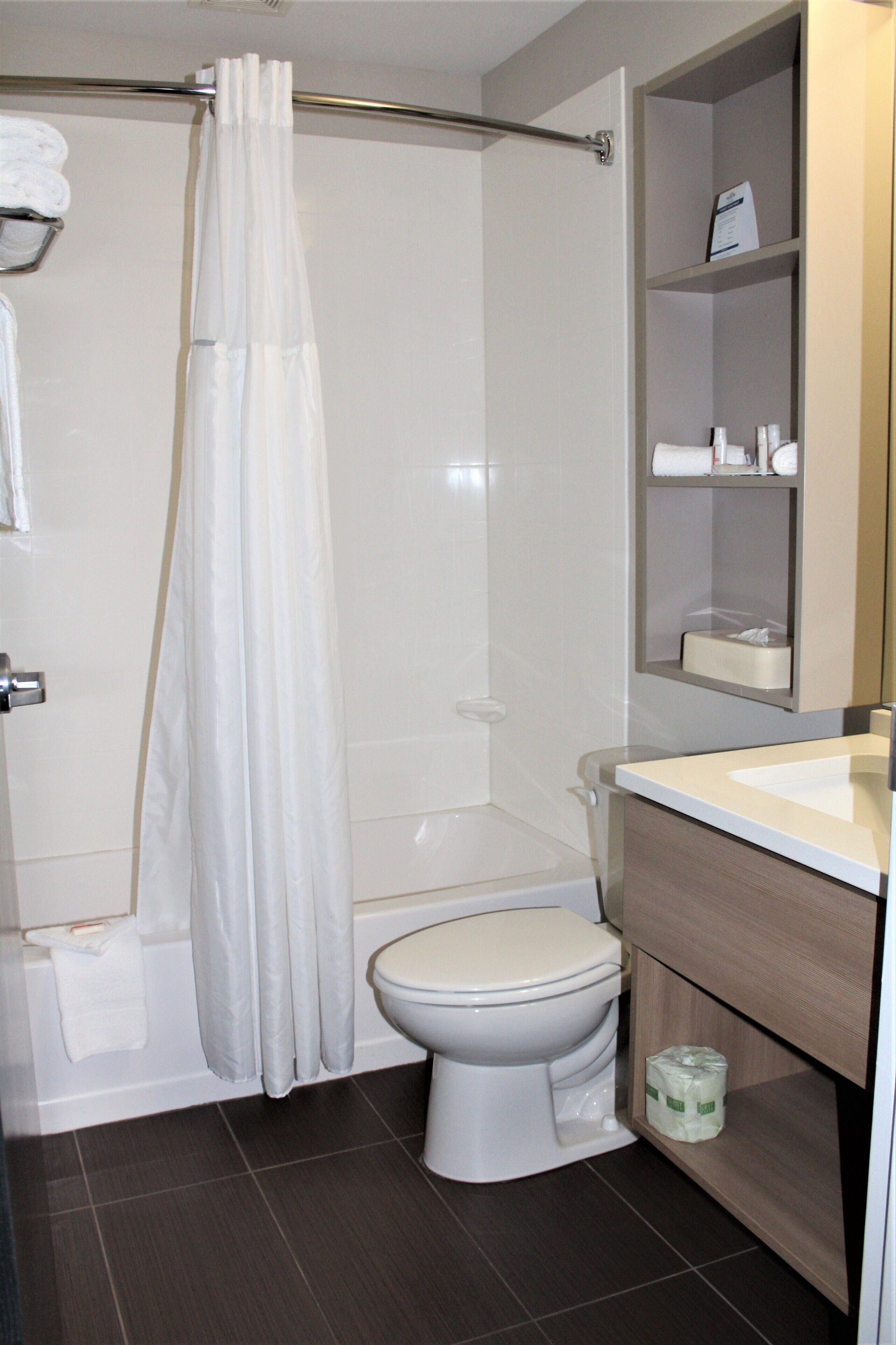 A bathroom with a shower, toilet, and a sink with a mirror above it.