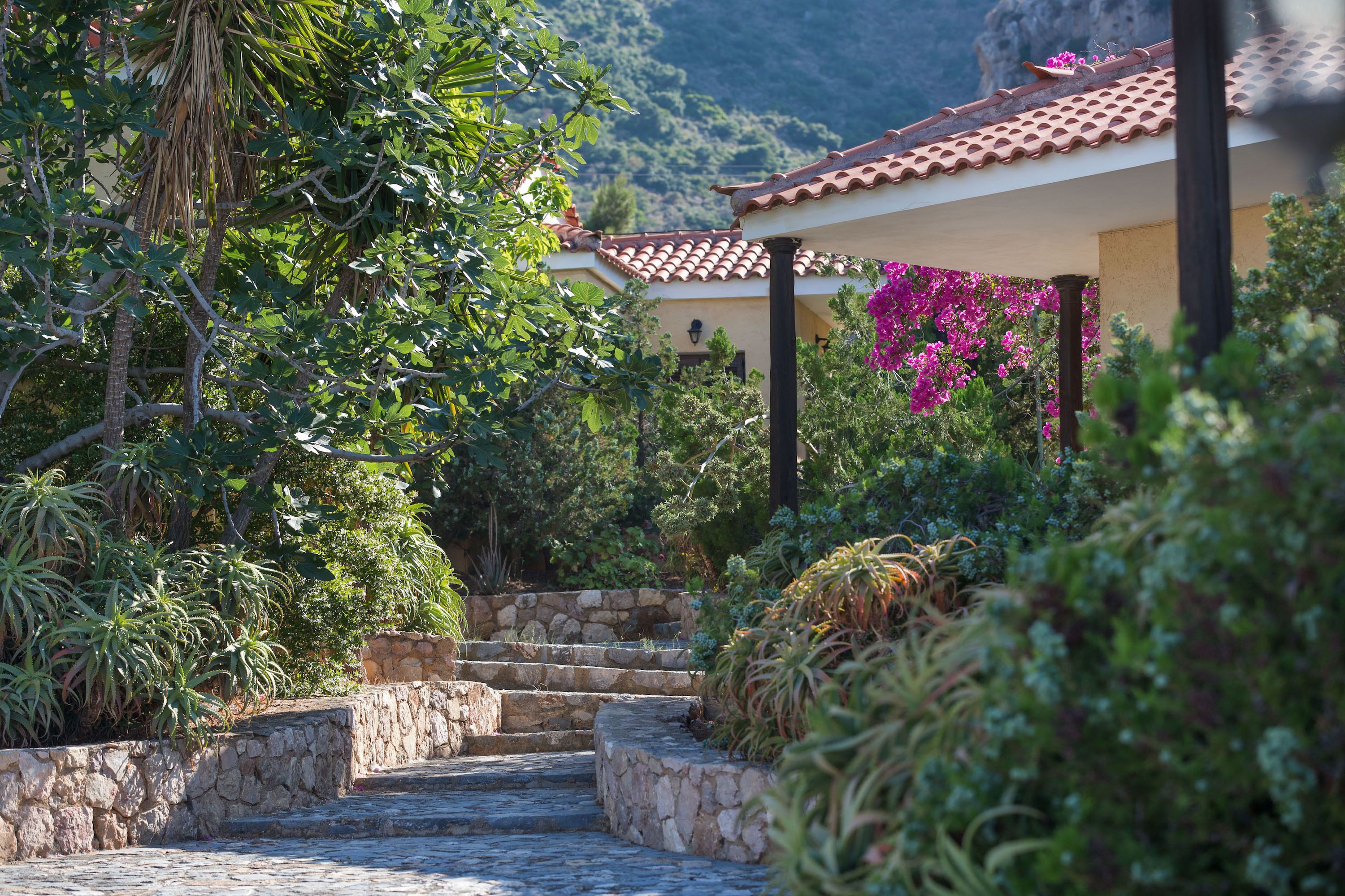 A stone staircase leading to a building with a tiled roof, surrounded by lush greenery and flowering plants.