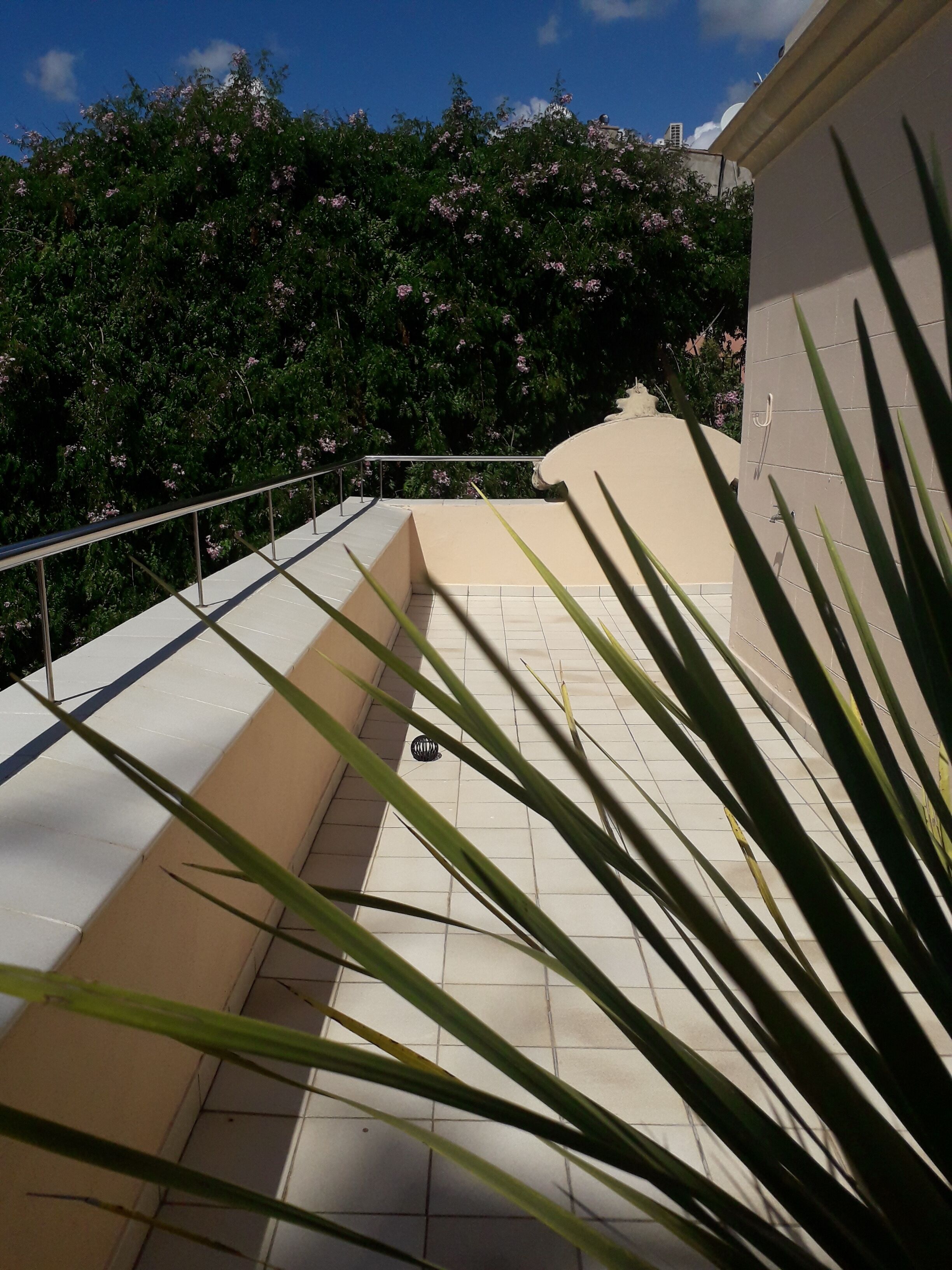 Foto - Hotel Noucentista