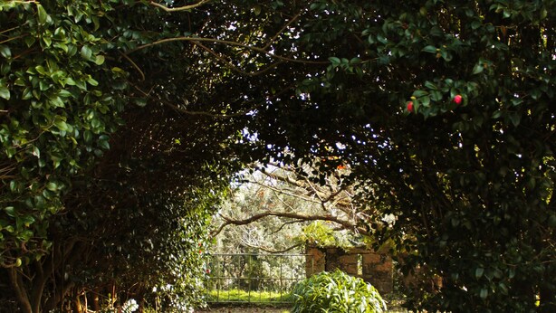 Un sentier qui traverse un jardin bordé d’un mur de pierres et d’un feuillage dense.