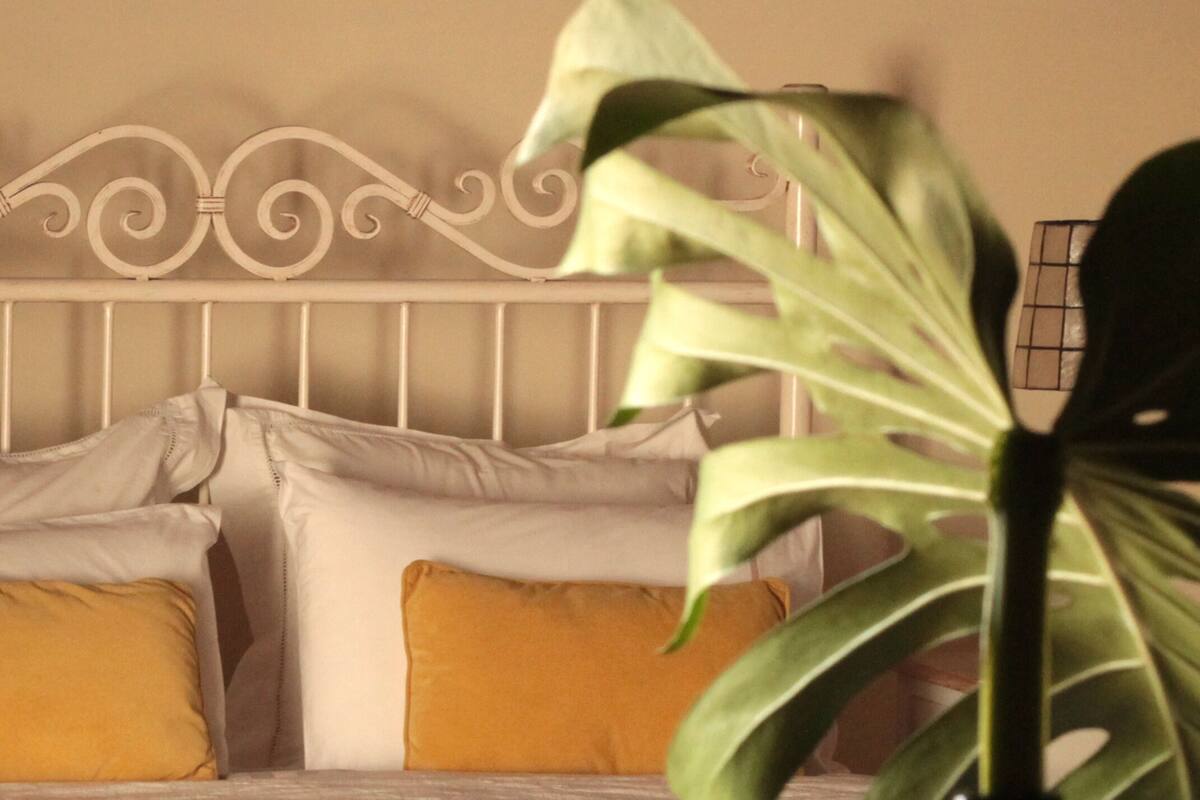 A bed with white headboard, multiple pillows, and a green plant in the foreground.
