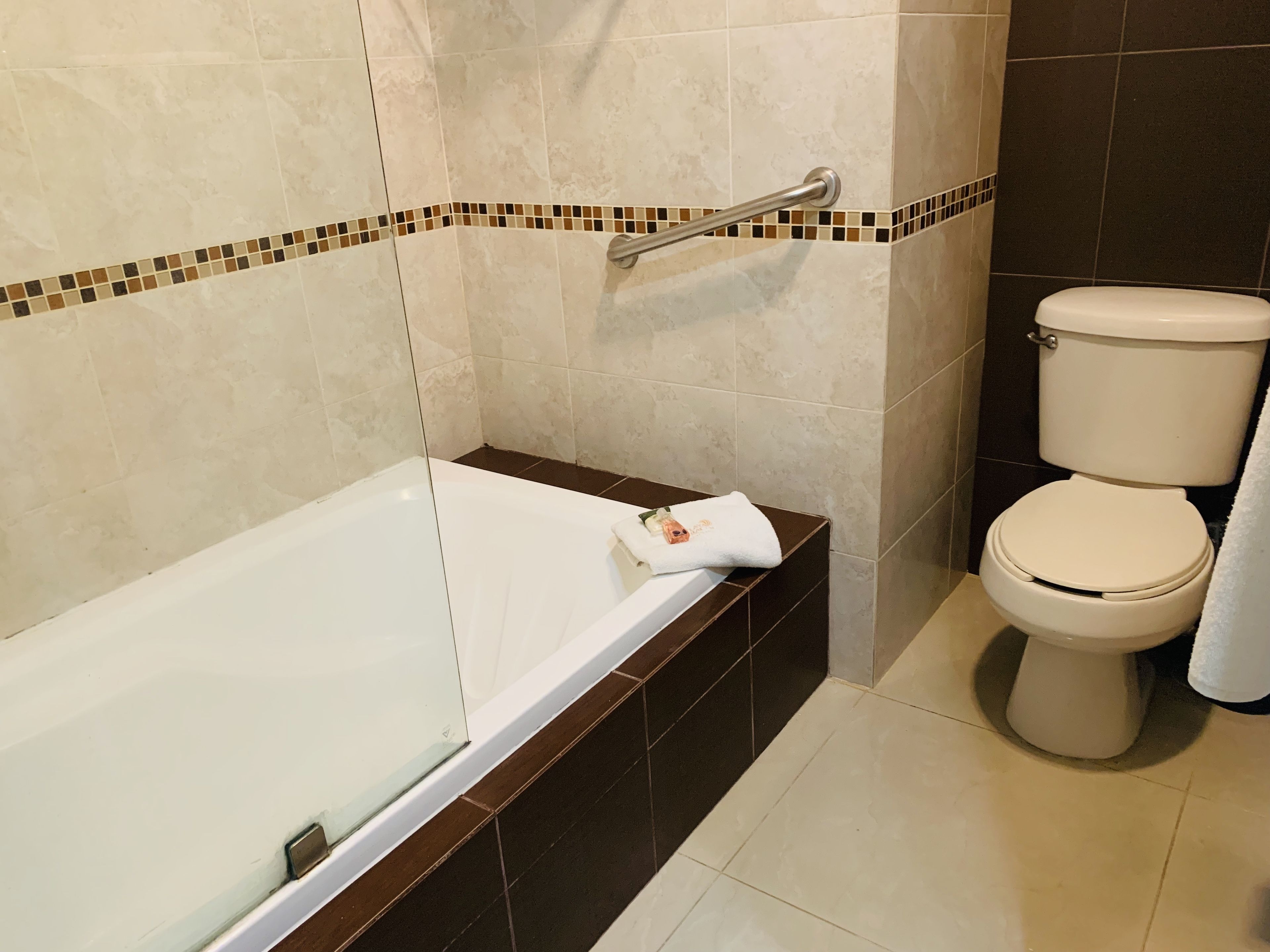 combined shower/bathtub, free toiletries, towels