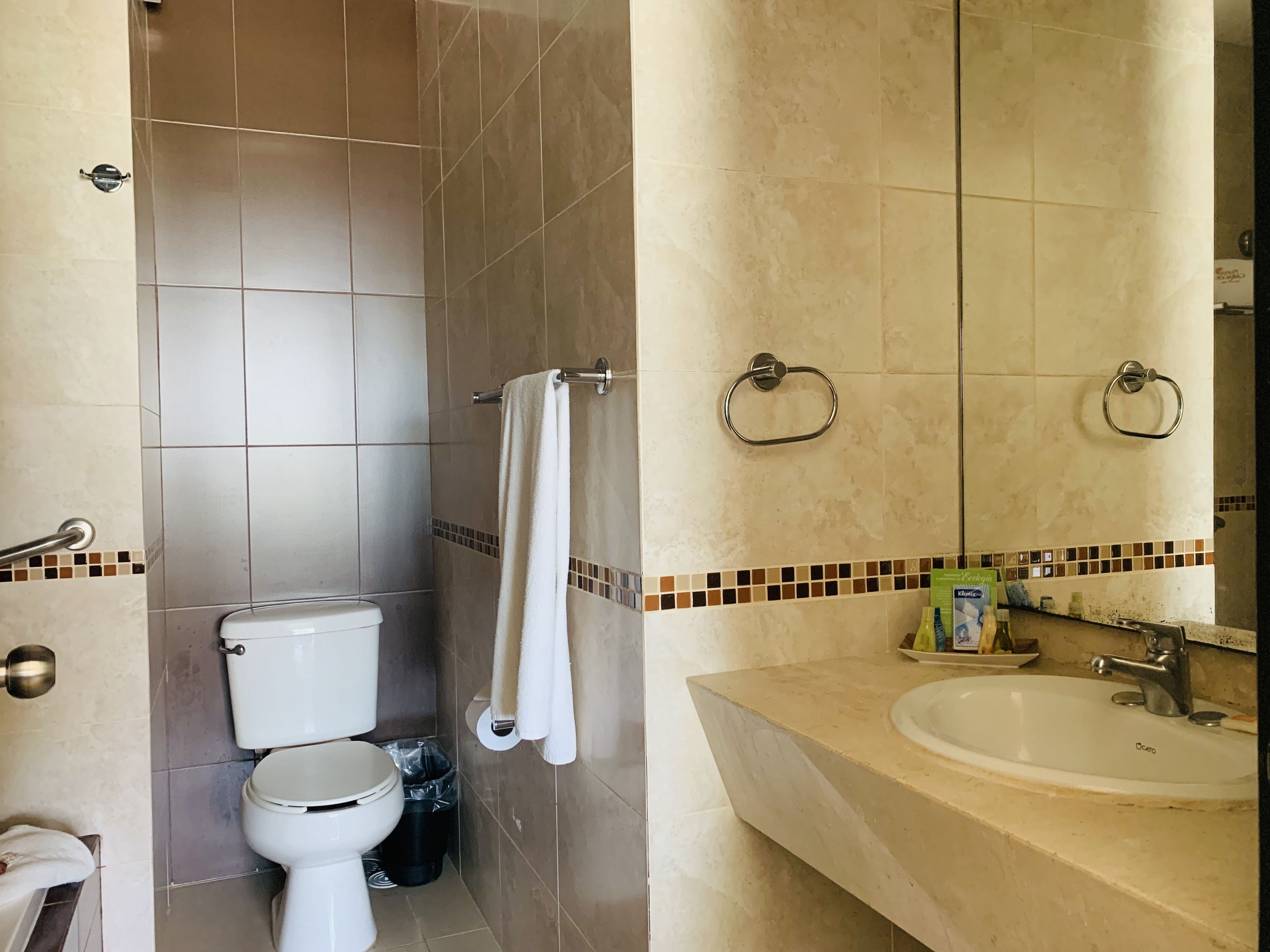 A bathroom with a toilet, a sink, and a shower area.