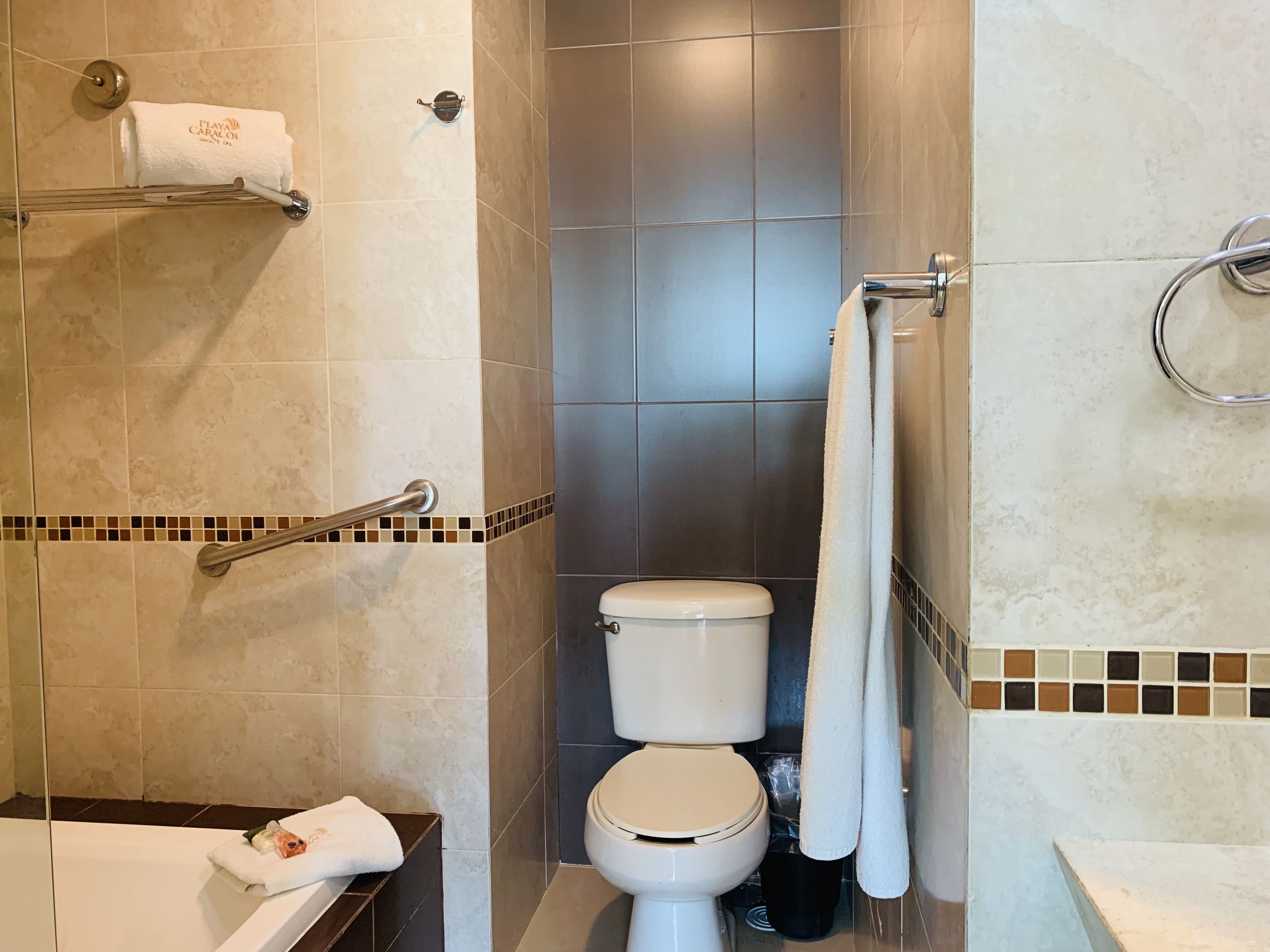 combined shower/bathtub, free toiletries, towels