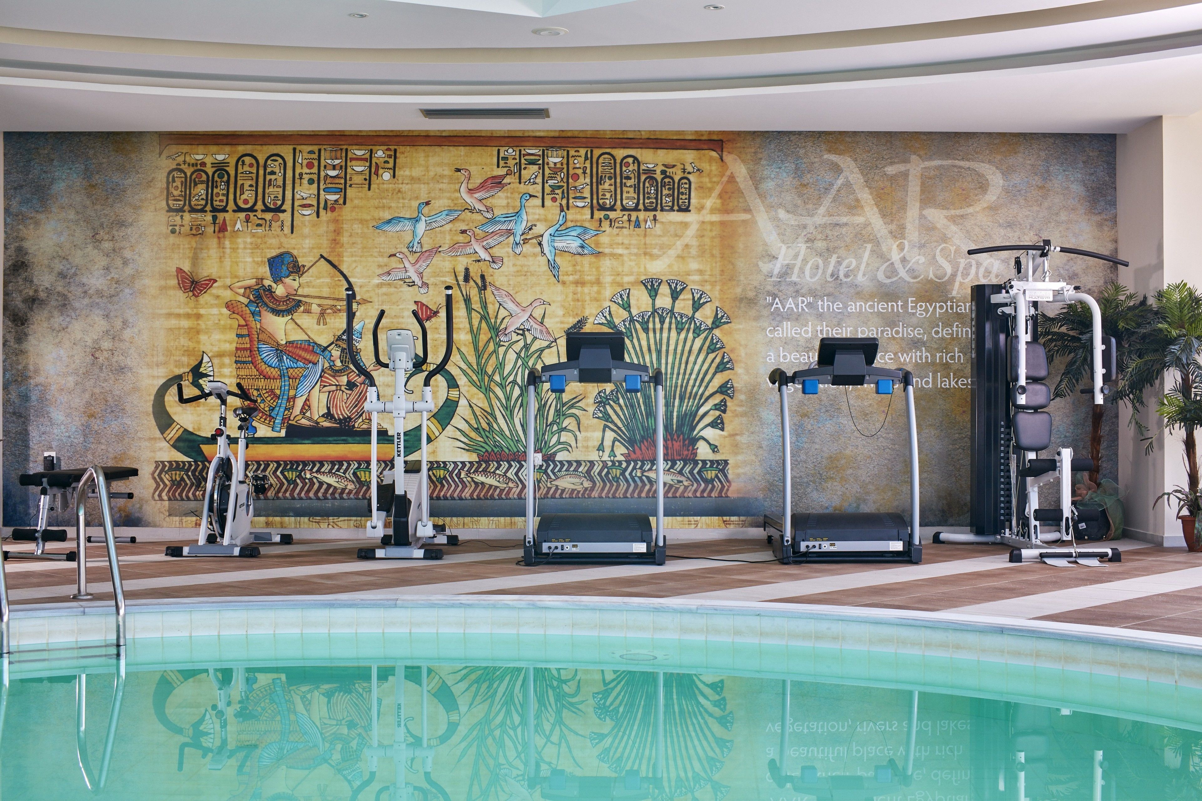 A swimming pool area with exercise equipment and a mural depicting ancient Egyptian art.