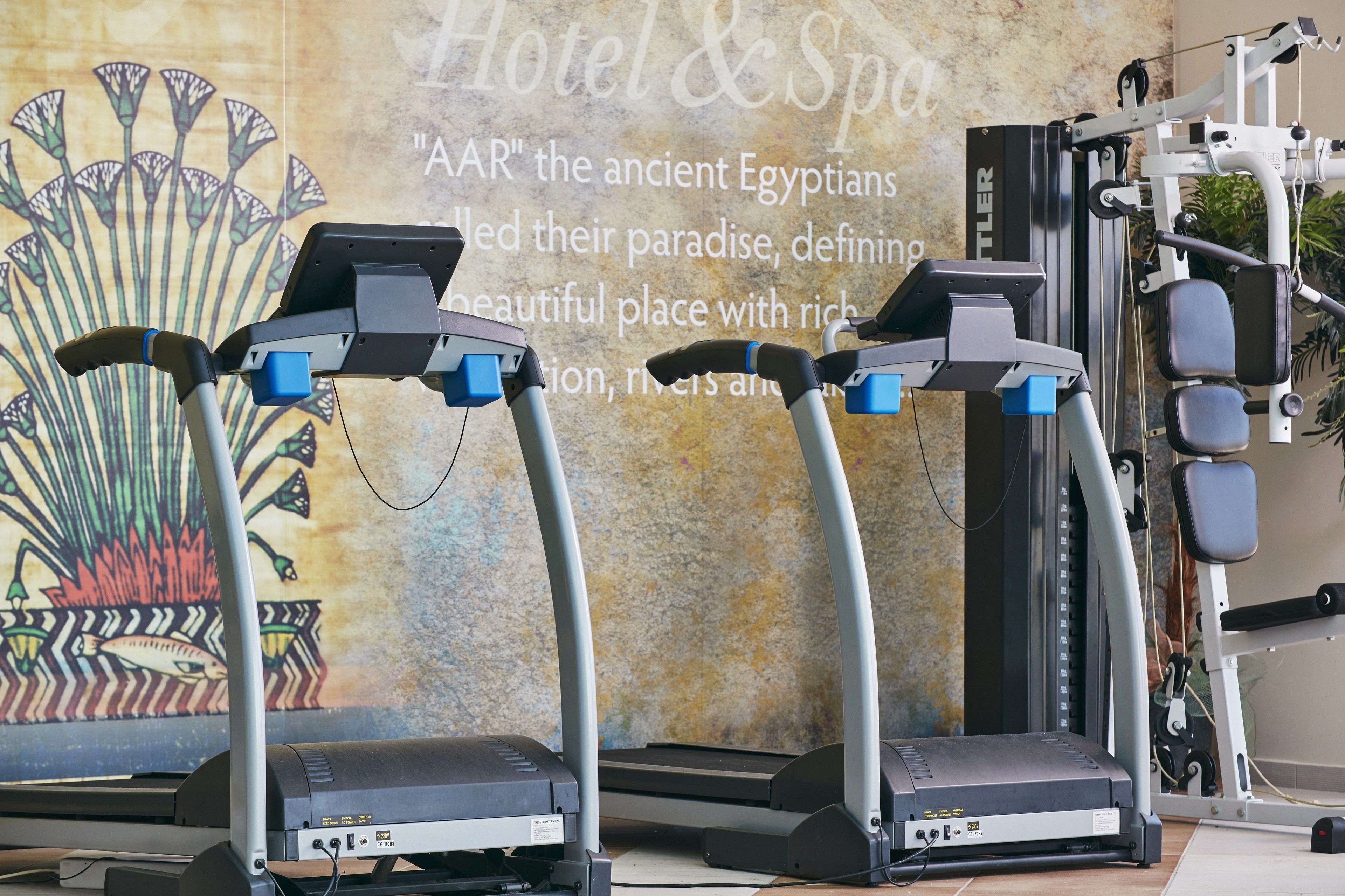 A fitness area with treadmills and a wall mural.
