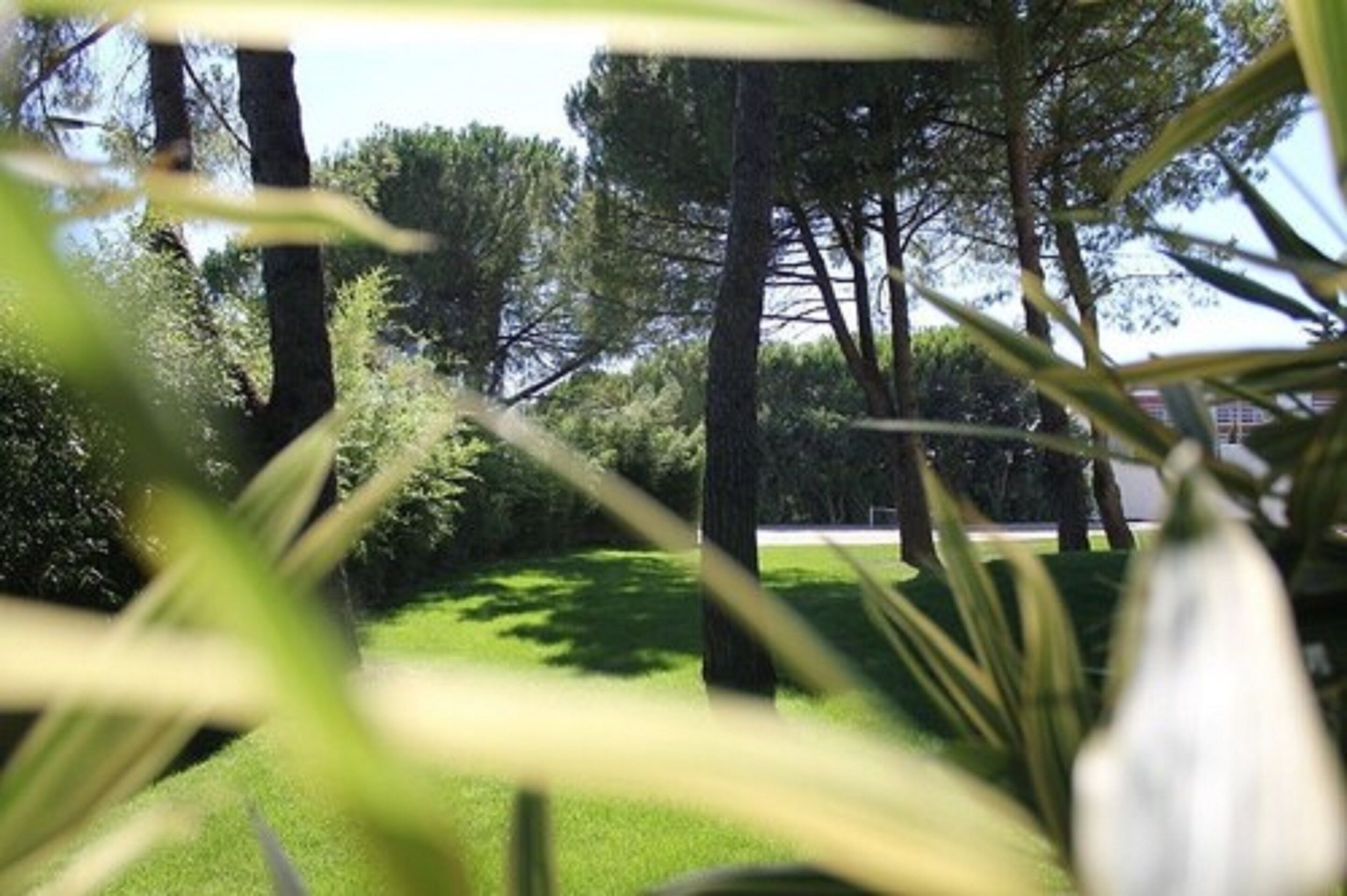 Foto - HÔTEL C SUITES chambres spacieuses