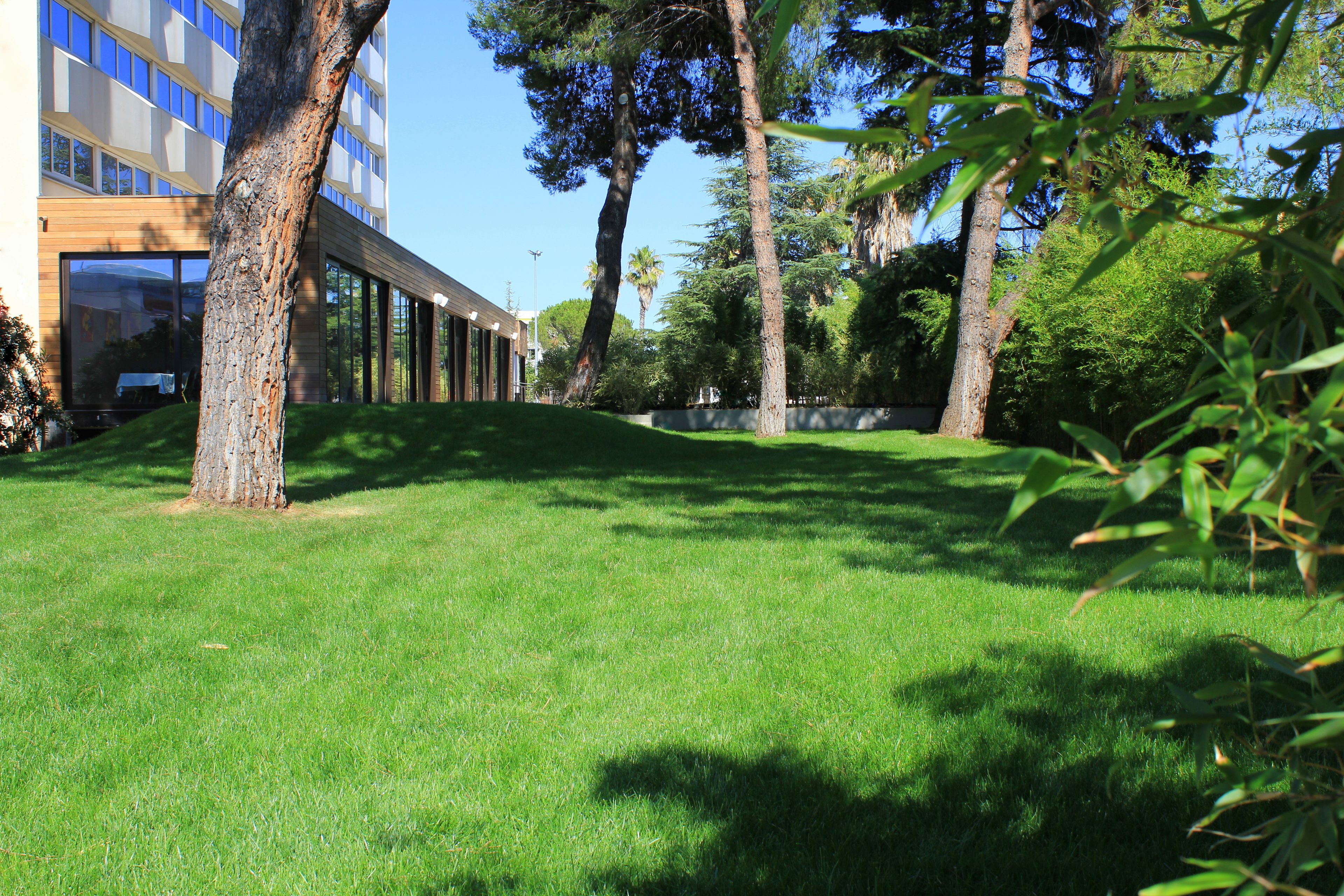A grassy area with trees and a building with large windows.