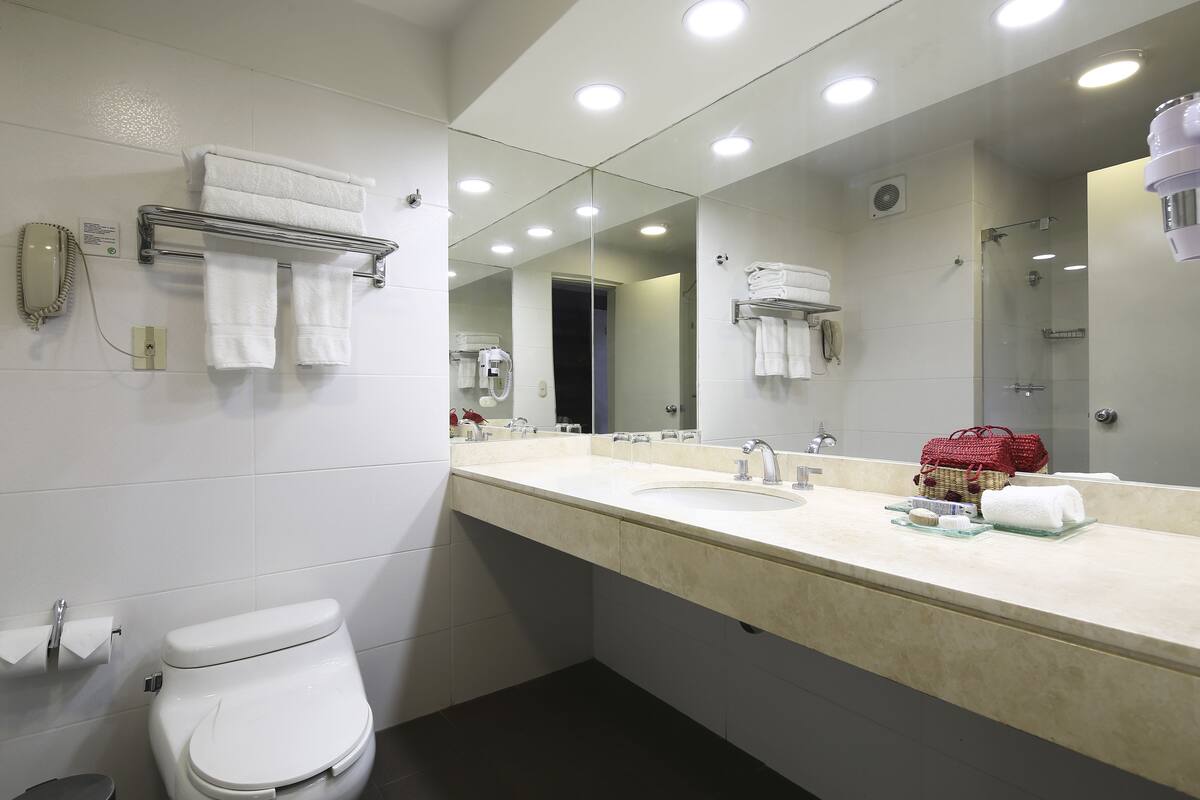 shower, free toiletries, hair dryer, towels