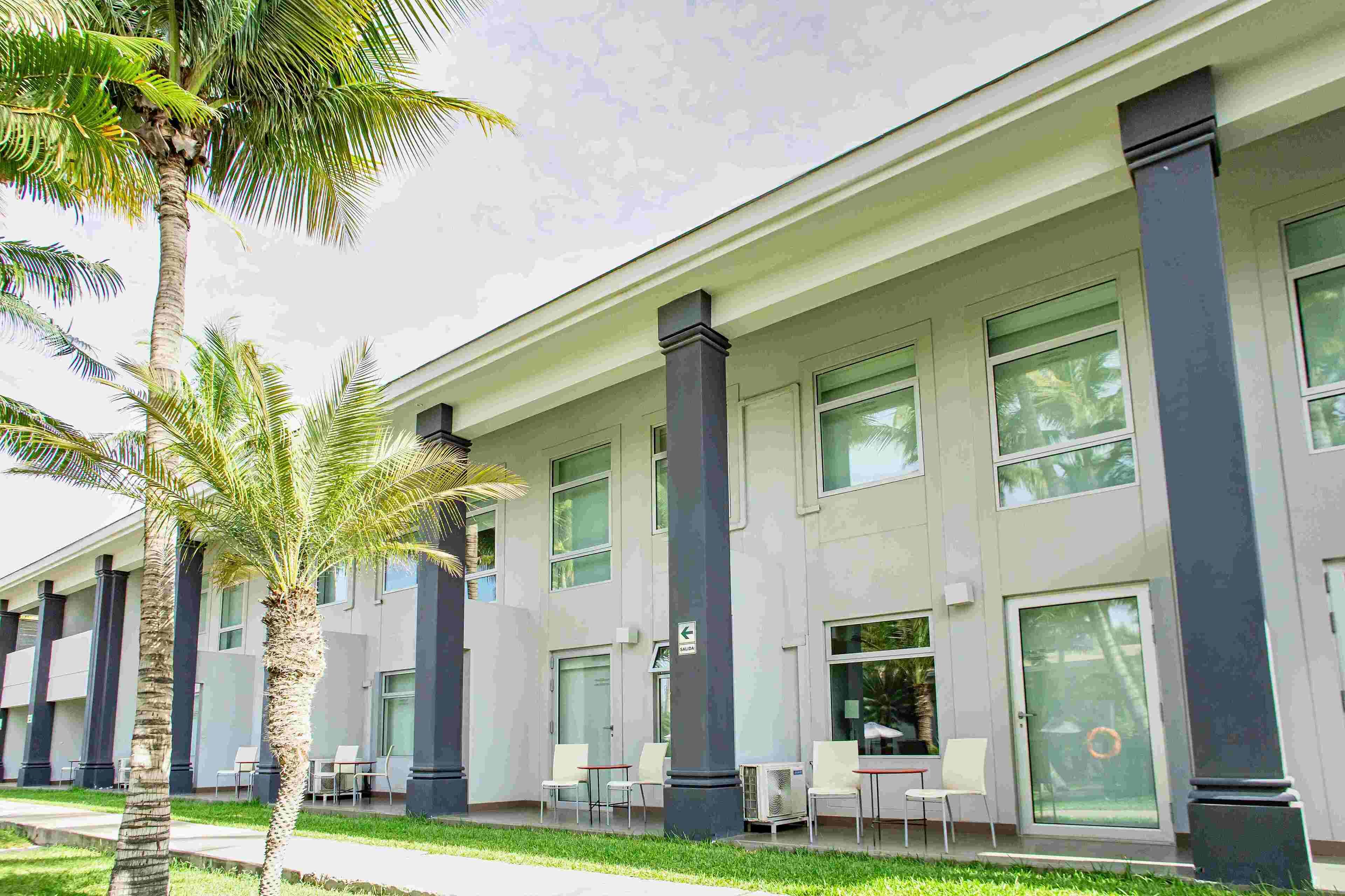 A building with large windows, palm trees, and outdoor seating areas.