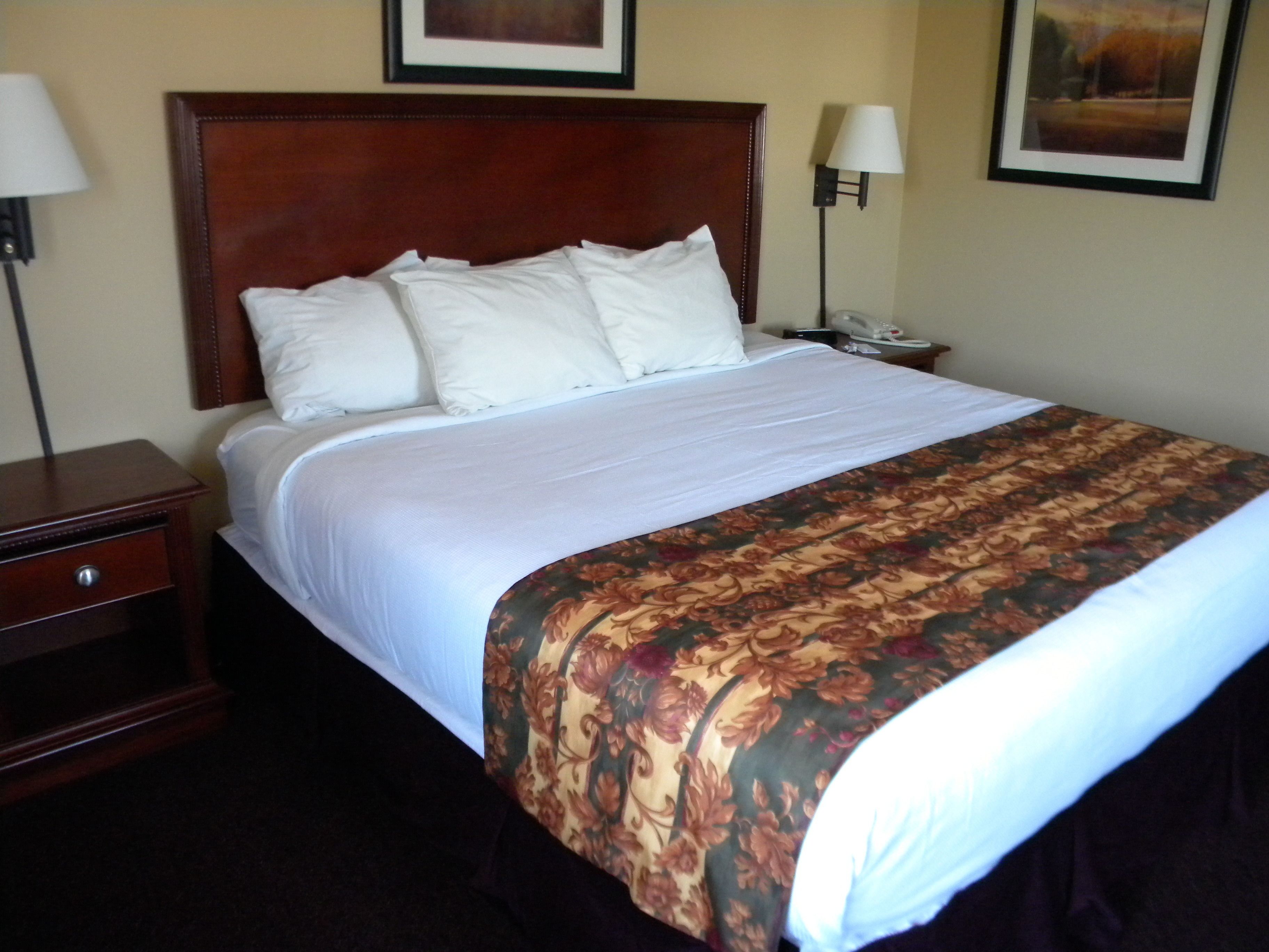 pillow-top beds, desk, free cots/infant beds, free rollaway beds