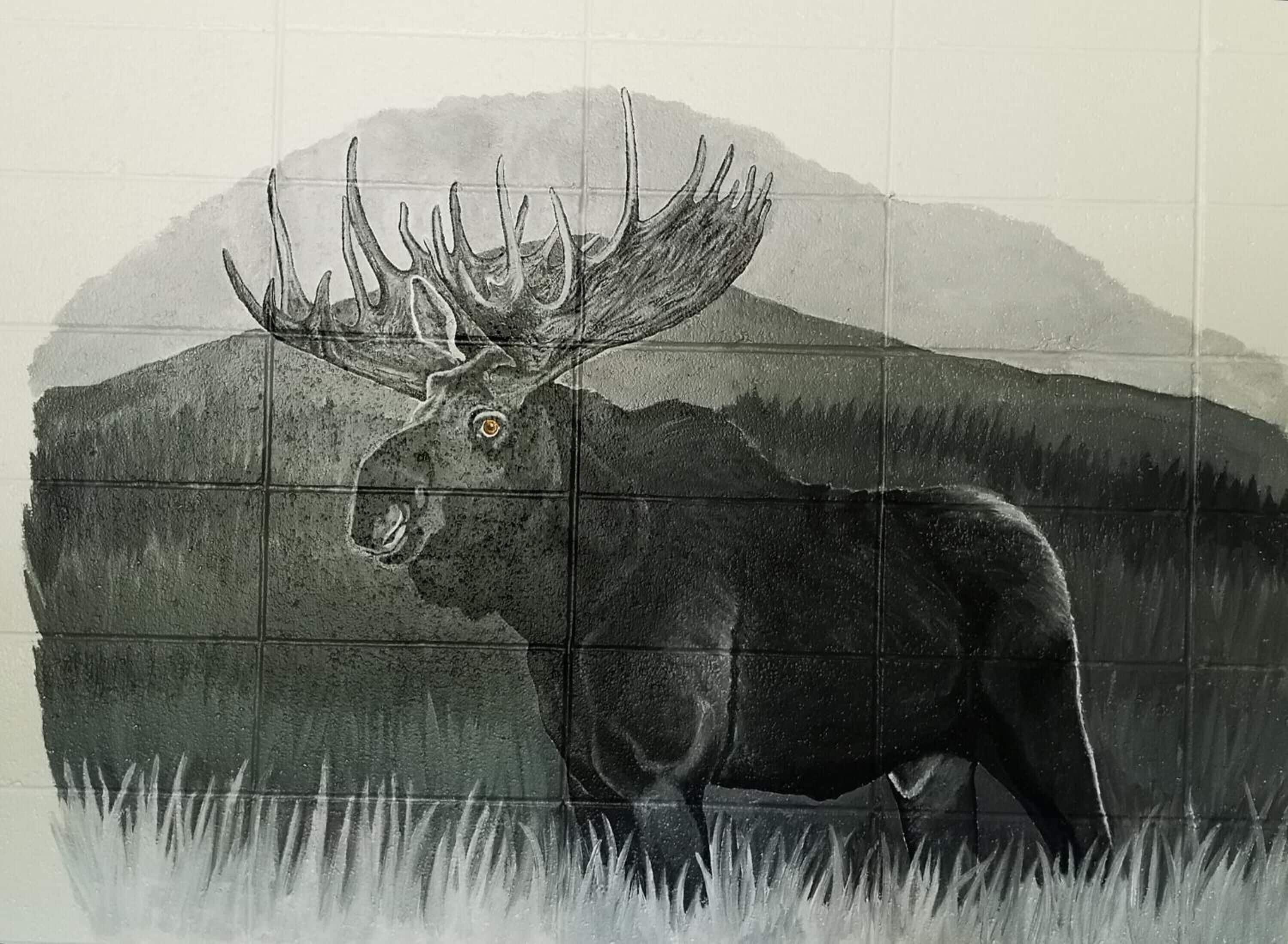 A moose in a natural setting with a mountainous background.