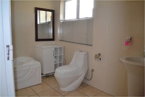 Secador de cabelo, toalhas de banho