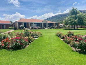 包每日全套早餐