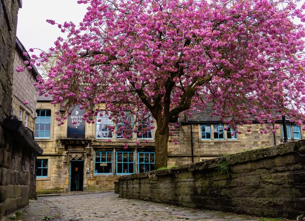 Entrée de l’hébergement
