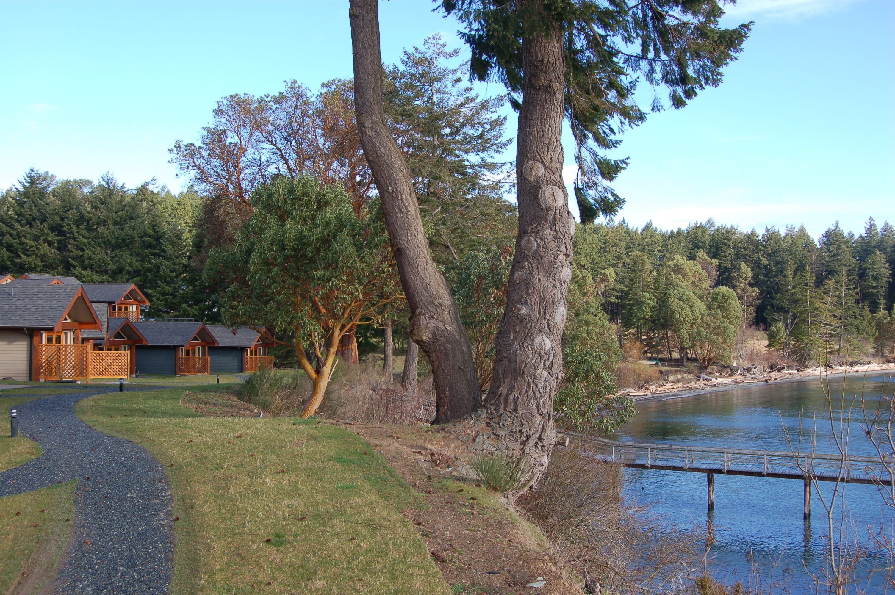 Quang cảnh nhìn từ nơi lưu trú