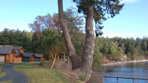 A lakeside cabin with a gravel path leading to the entrance, surrounded by tall trees and a dense forest.