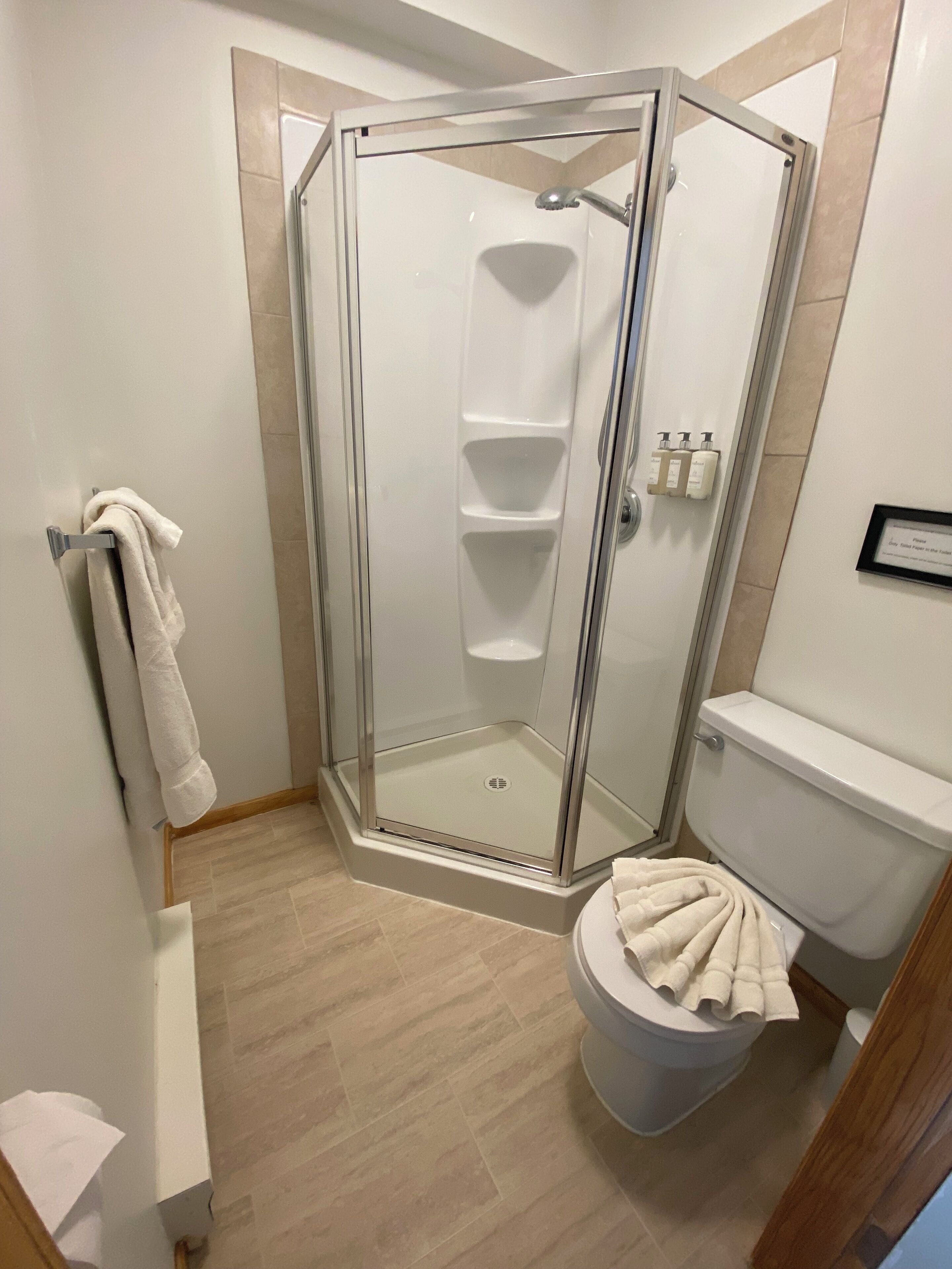 A shower with a glass door, a toilet, and a towel rack.