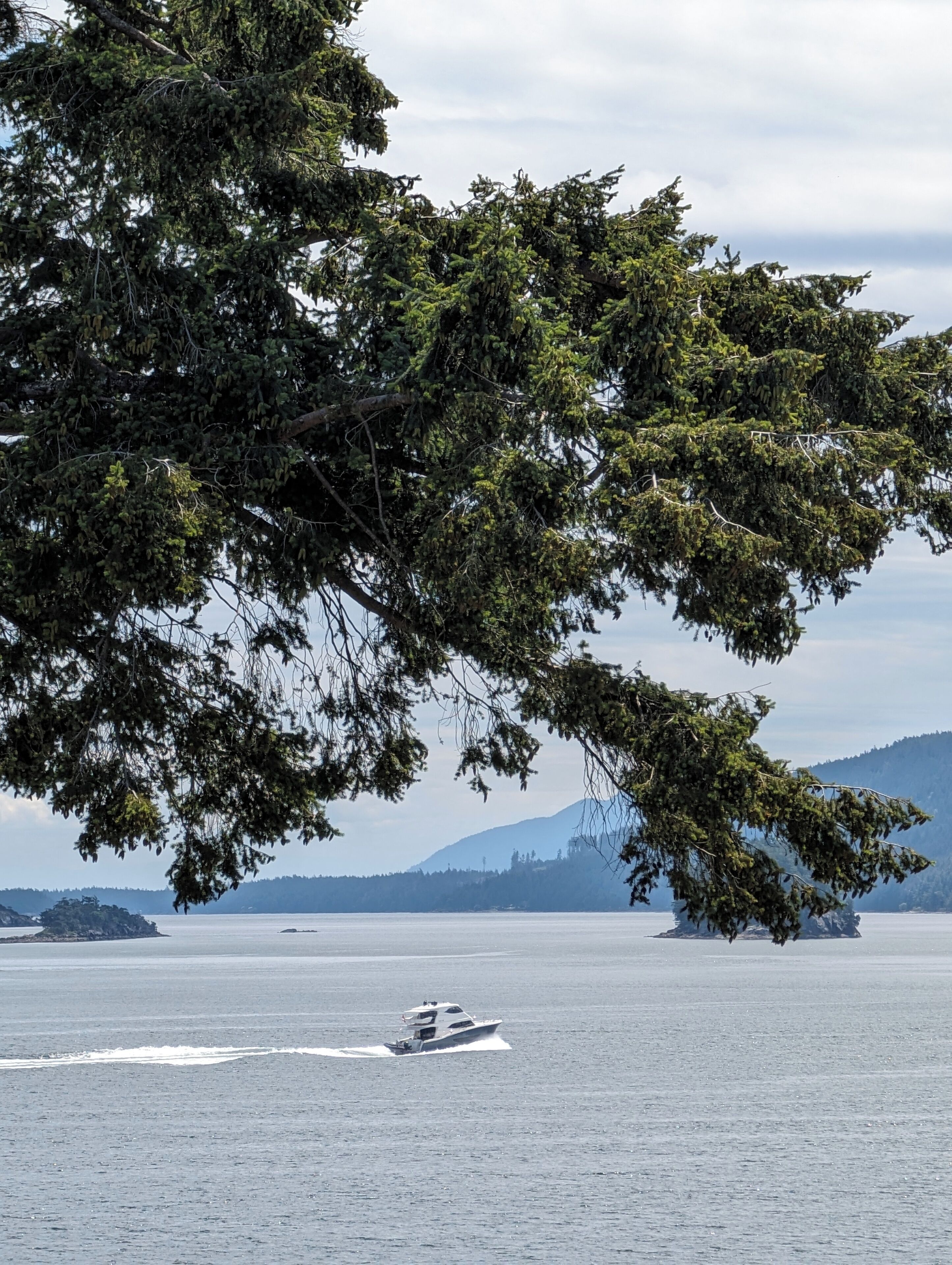 economy room, 1 queen bed, partial ocean view | view from room