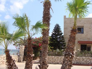 Property grounds - Tamer guest house (Haifa)