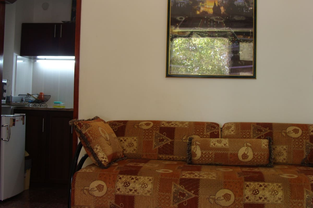 Una sala de estar con un sofá estampado, una zona de cocina con un refrigerador y un lavamanos, y un cuadro grande en la pared.