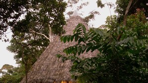 A thatched-roof hut with a stone pathway leading to it, surrounded by lush greenery.