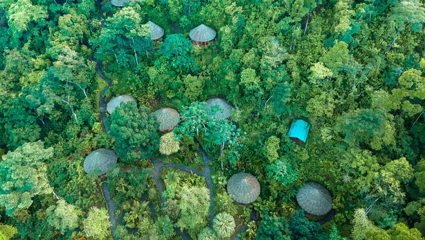 An aerial view of a forested area with several thatched-roof structures, likely accommodations, amidst dense greenery.