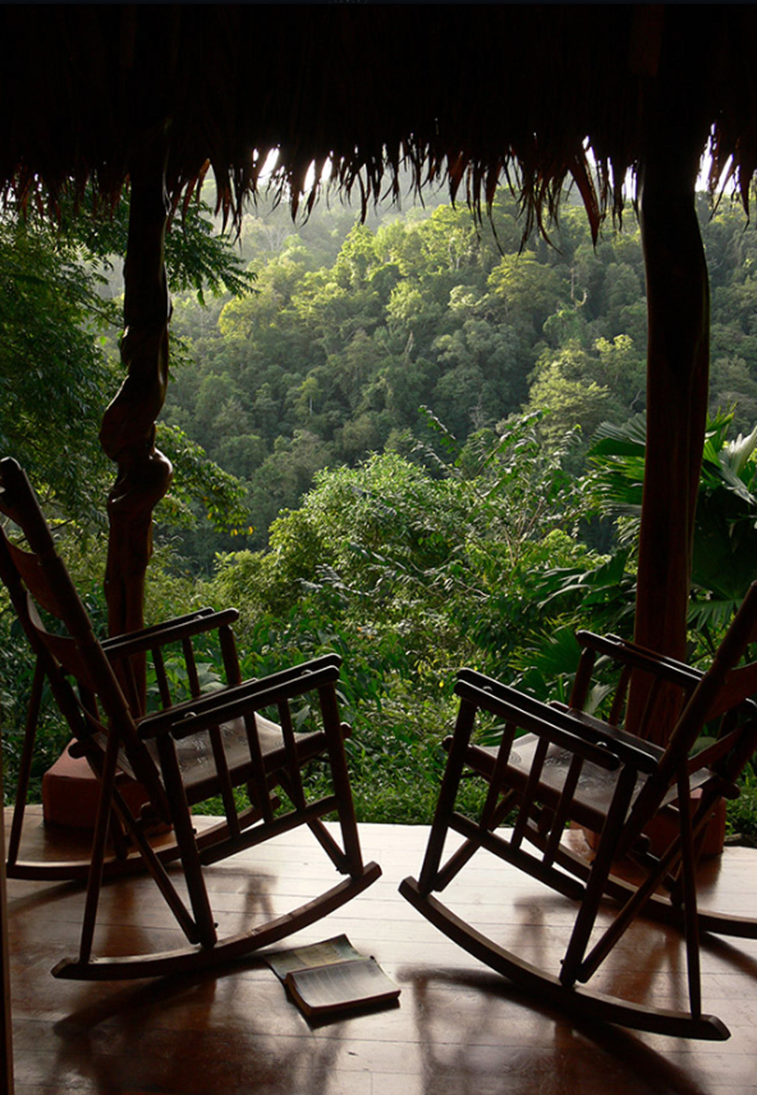 Two rocking chairs facing a lush forest view from a covered porch.