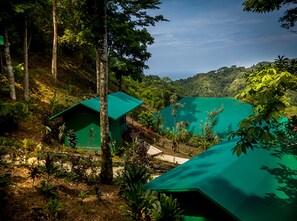 Vista desde la habitación