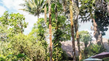 Alberca al aire libre y camastros