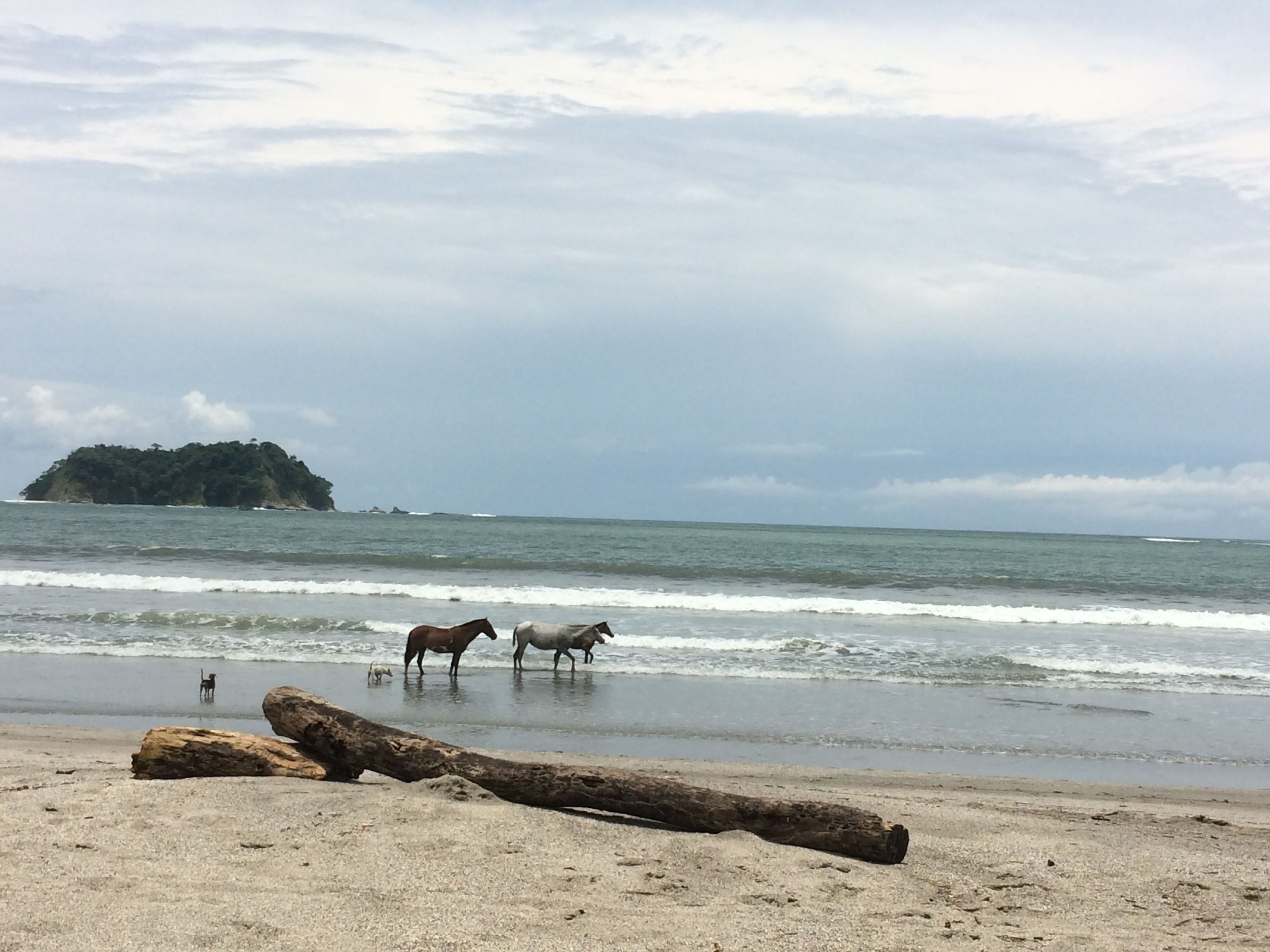 beach nearby, scuba diving