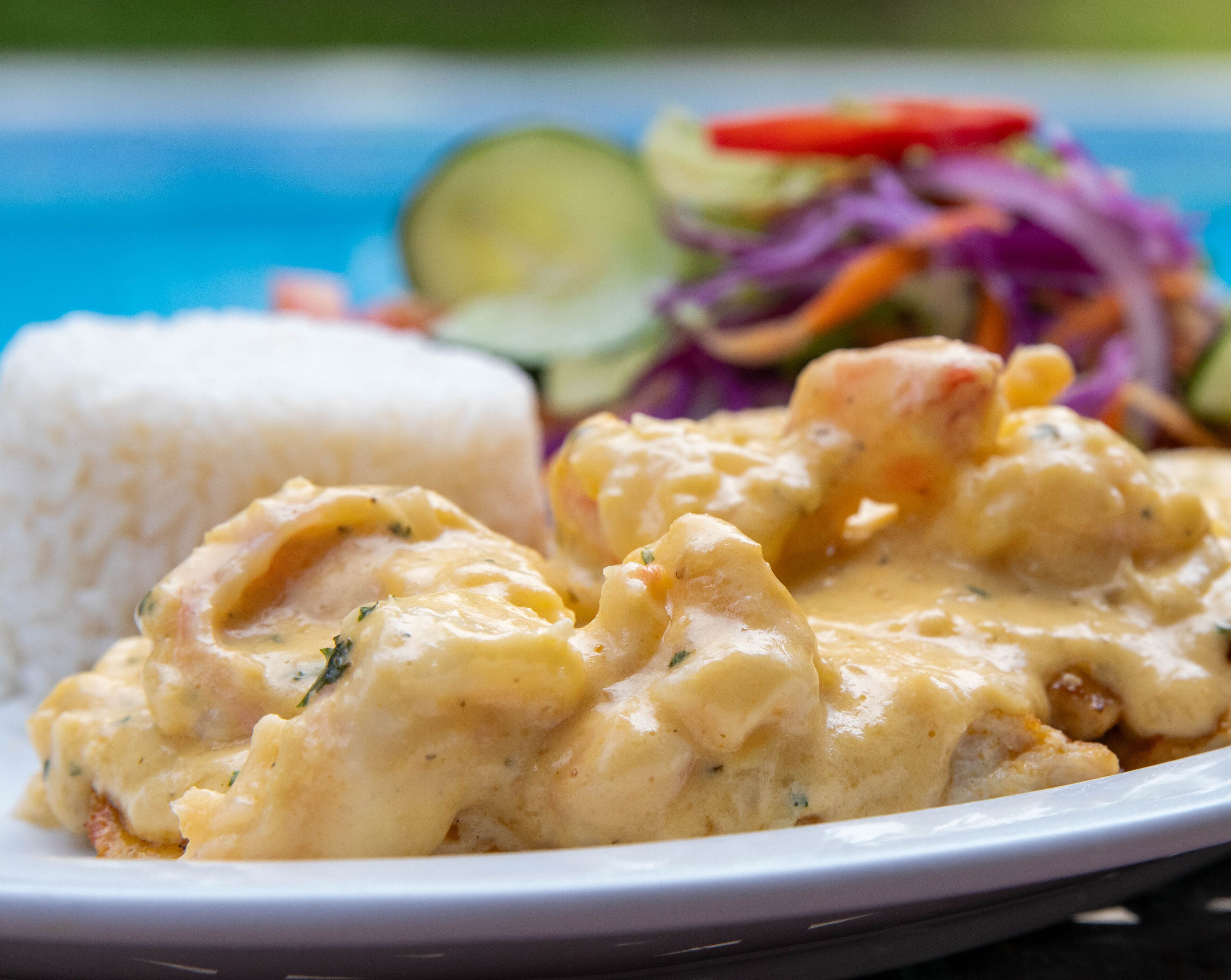 A plate of food with rice, chicken in a creamy sauce, and a side salad.