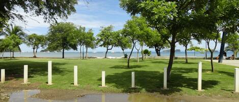 A grassy park area with trees and a view of the sea.