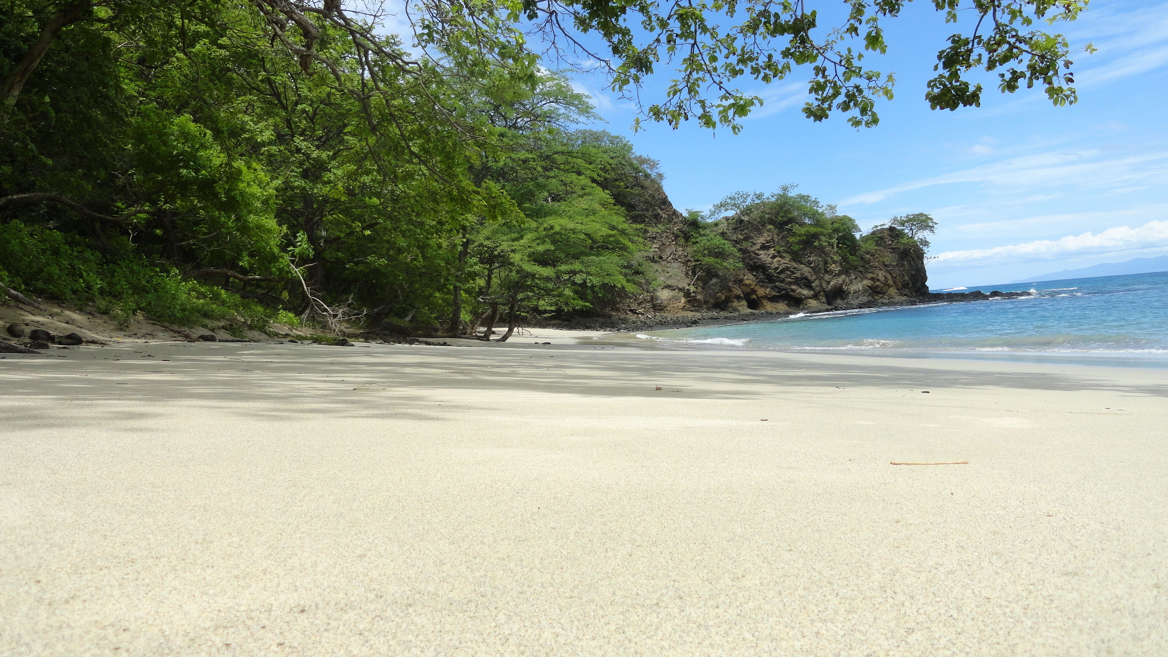 Une plage avec un ciel dégagé, un rivage sablonneux et une végétation luxuriante.