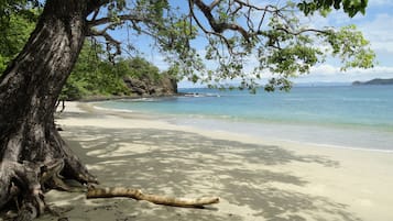 Una spiaggia nelle vicinanze