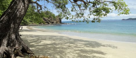 Una spiaggia nelle vicinanze