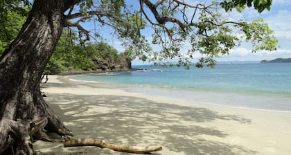 Hotel Colono Beach