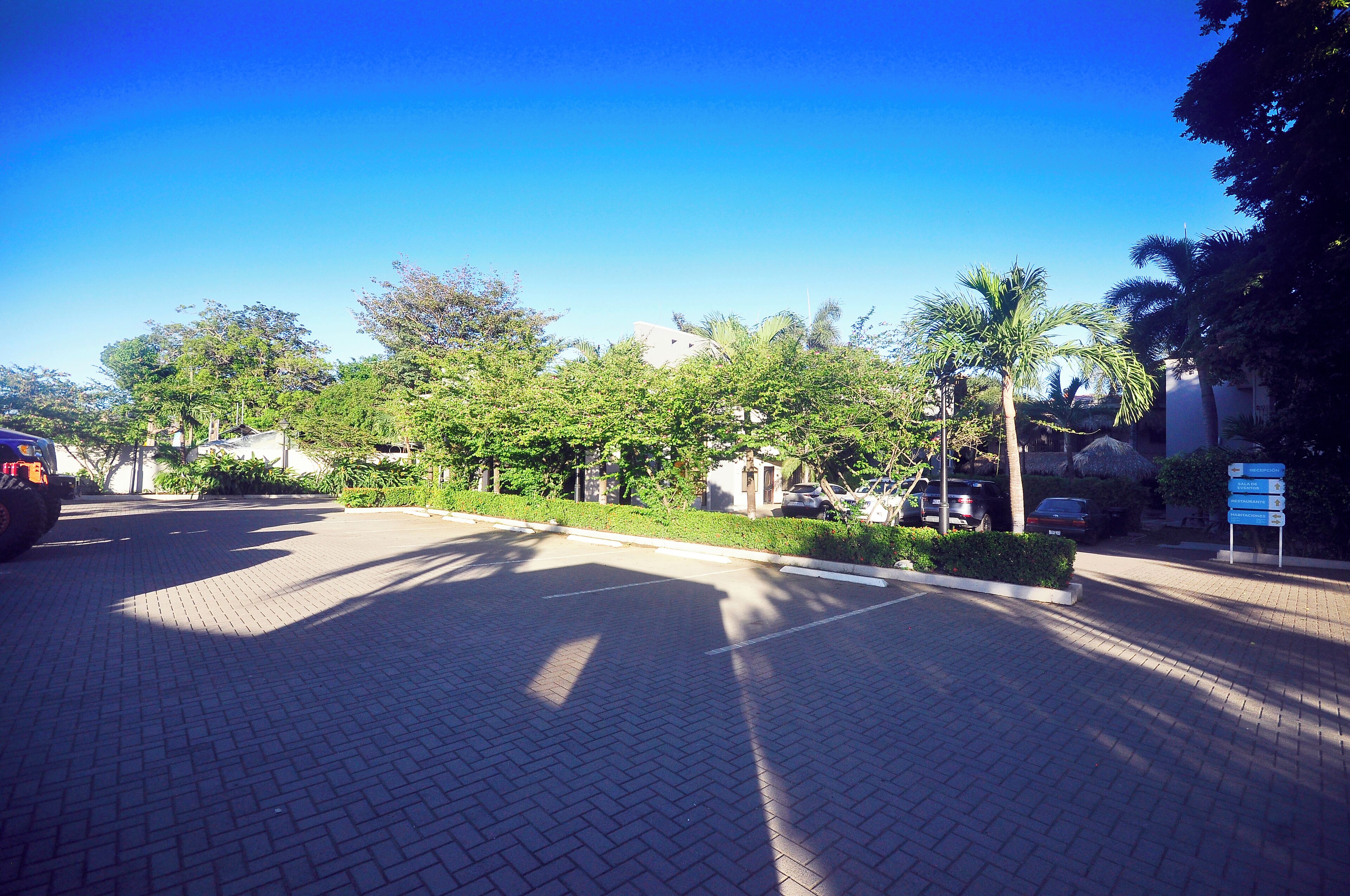 A paved parking area with a clear blue sky, surrounded by greenery and palm trees.