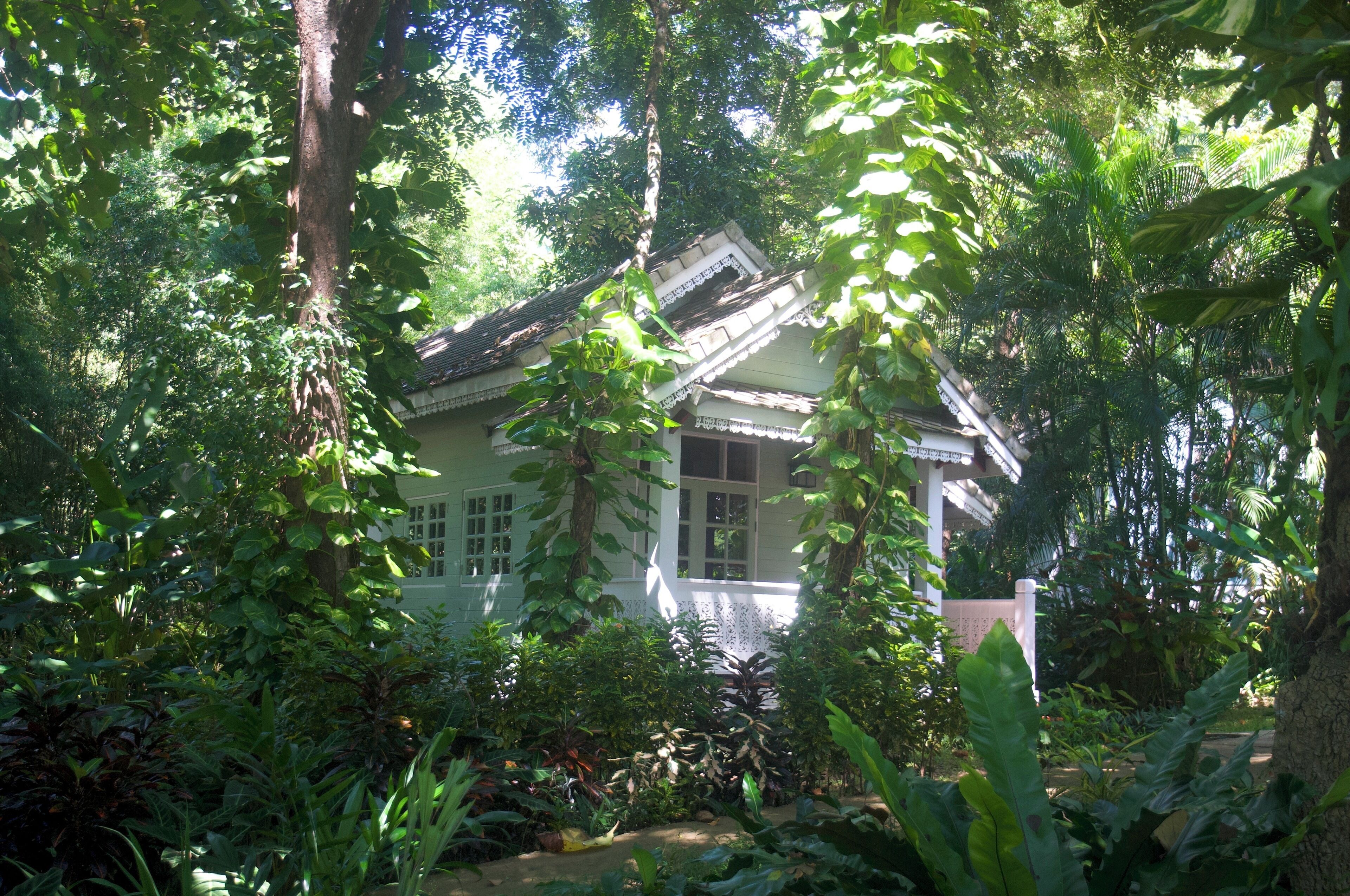 A traditional house surrounded by dense tropical vegetation.